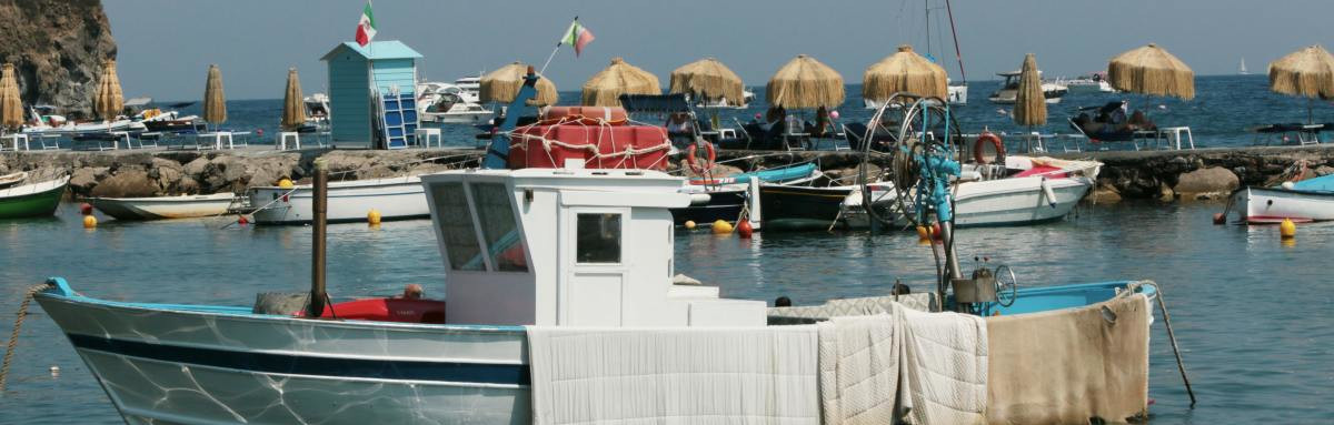 Fishermen's boats at bay by Ischia, an Italian island.