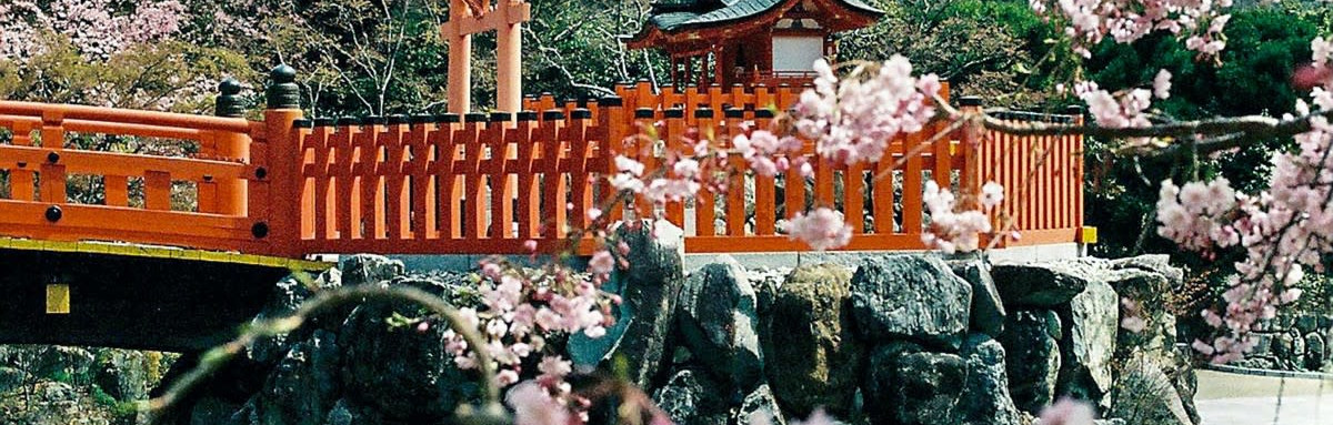 Cherry blossoms over temple and bridge amongst mountains in Japan.