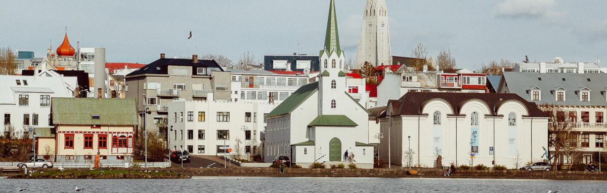 Skyline view of white Icelandic buildings in Reykjavik on water with swan swimming in front.