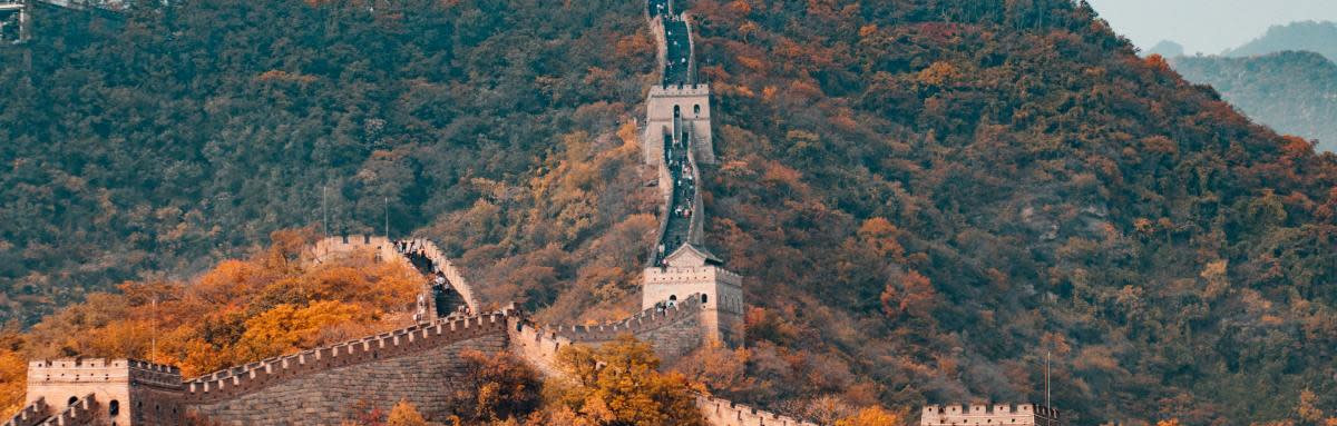 Trees with orange leaves surround the Great Wall of China on the top of a mountain with grey skies