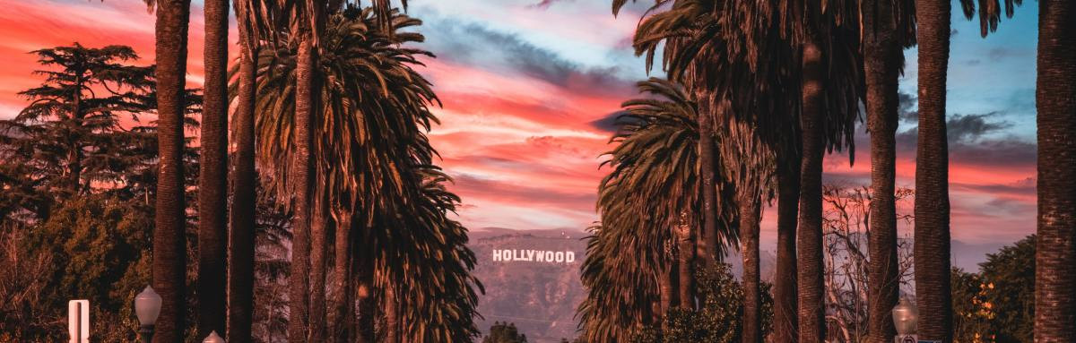 Palm trees lining trees leading to the Hollywood sign on Griffith Park during sunset in Los Angeles.