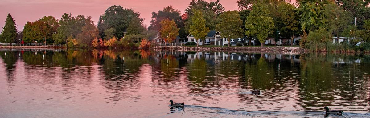 Lake in Michigan with trees during sunset and showing reflection with ducks swimming.