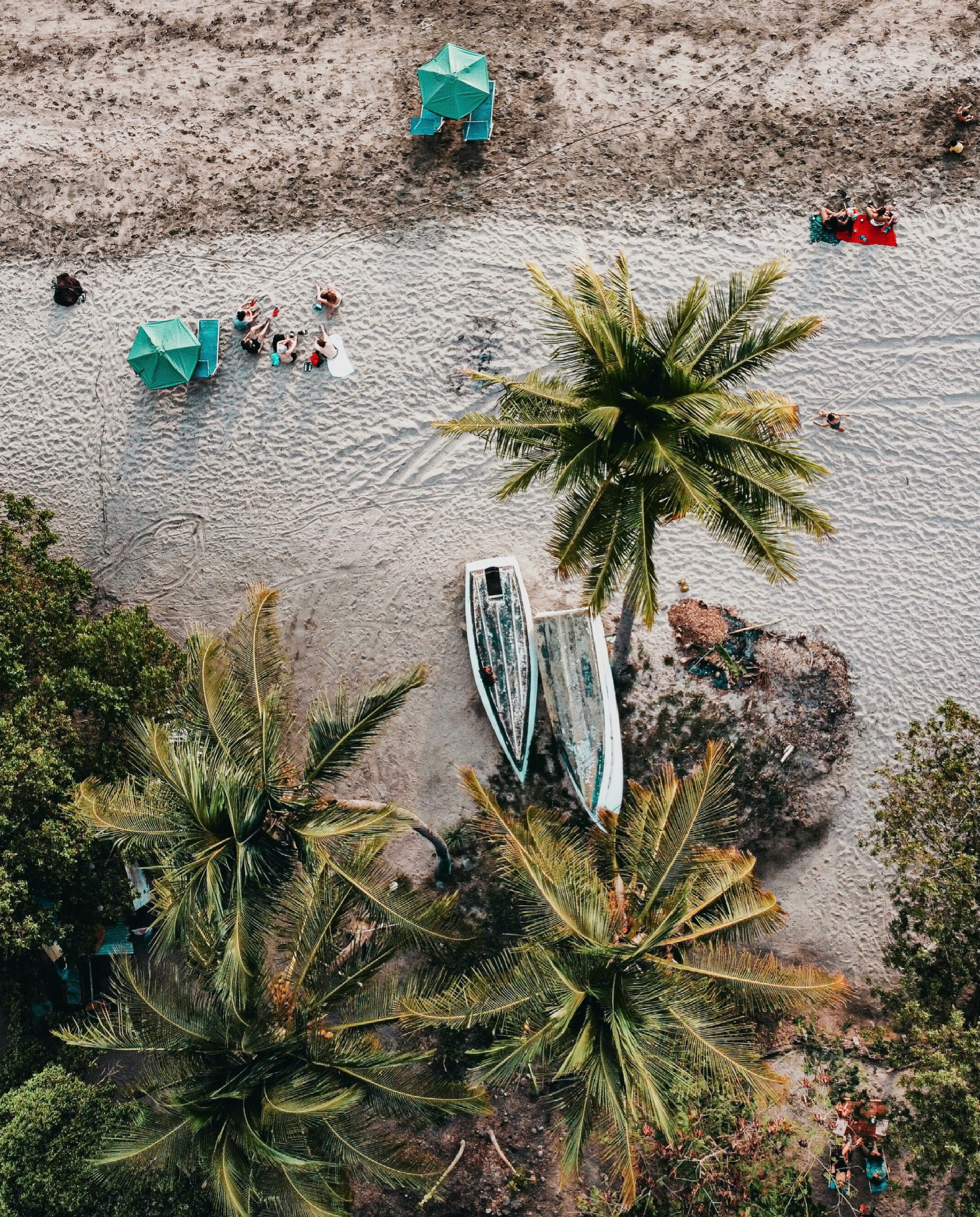 Aerial view of palm tree, beach umbrellas and kayaks on the beach in Costa Rica