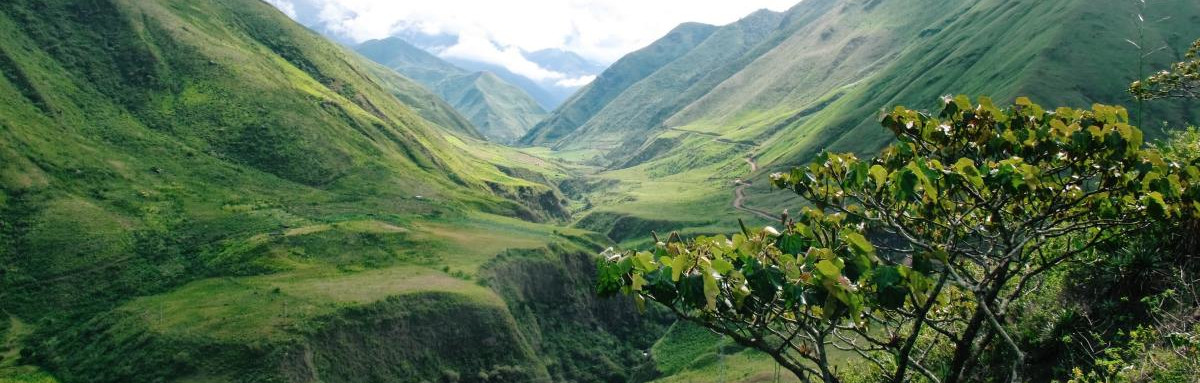 Green valleys and mountains in Ecuador. 
