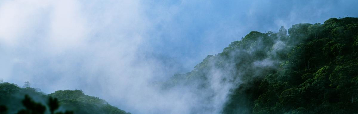 A tropical Hawaiian mountain covered with fog