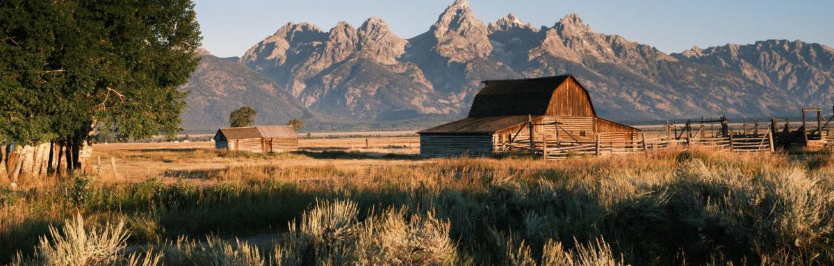 An old barn amid a field in front of Wyoming's Grand Tetons